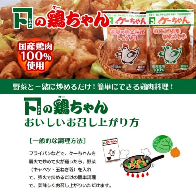 ケーちゃん10個入り(みそ味・しょうゆ味 各230g×5個)けいちゃん 鶏ちゃん【8-1】