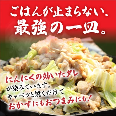 鶏ちゃんの名店「まるはち食堂」480g×2(約6人前)下呂の味!!けいちゃん【48-1】