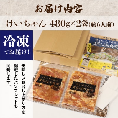 鶏ちゃんの名店「まるはち食堂」480g×2(約6人前)下呂の味!!けいちゃん【48-1】
