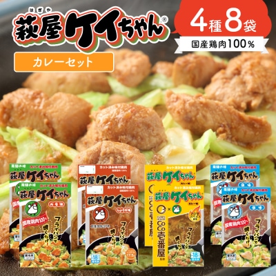 萩屋ケイちゃんスタンダードカレーセット　みそ・カレー・しょうゆ・しお(各230g×2 )【10-7】
