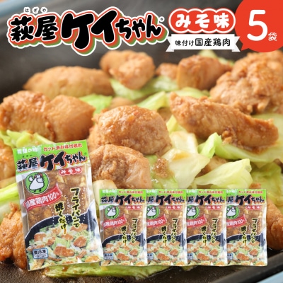 萩屋ケイちゃん みそ一択セット(230g×5袋)【10-4】