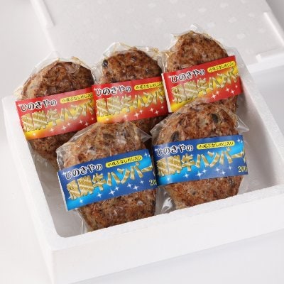 飛騨小坂ぶなしめじ入り飛騨牛ハンバーグ(200g×5個)冷凍【72-1】