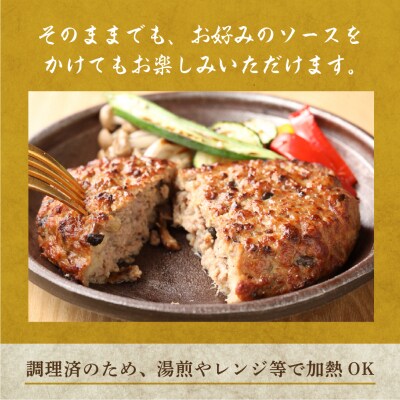 飛騨小坂ぶなしめじ入り飛騨牛ハンバーグ(200g×5個)冷凍【72-1】