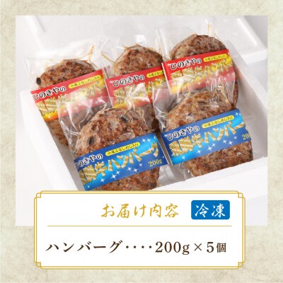 飛騨小坂ぶなしめじ入り飛騨牛ハンバーグ(200g×5個)冷凍【72-1】