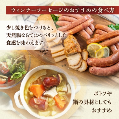 【飛騨 味職人】飛騨の味　美味いもんバラエティセット【57-10】