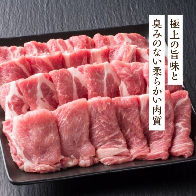 【冷凍】飛騨納豆喰豚肩ロース焼肉・生姜焼き用セット　880g【11-6】