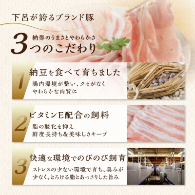 飛騨納豆喰豚肩ロース焼肉・生姜焼きセット 880g【11-6】