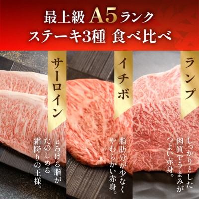 飛騨牛サーロイン・イチボ・ランプステーキセット計490g【11-18】