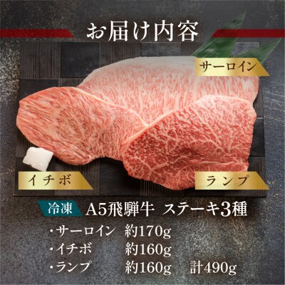 飛騨牛サーロイン・イチボ・ランプステーキセット計490g【11-18】