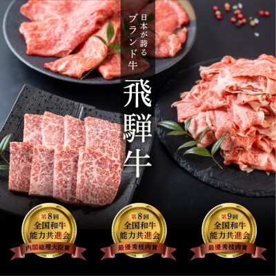 【2026年2月から順次発送】冷凍 飛騨牛本日の希少部位・ランプ焼肉セット　各450g【11-26】