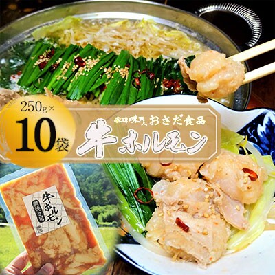 【飛騨 味職人】牛ホルモン 網焼き用(250g×10袋)飛騨 牛肉 ホルモン【57-17】