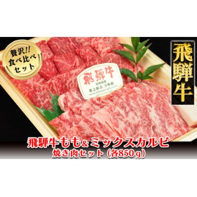 【冷凍】飛騨牛もも・ミックスカルビ焼肉セット　各850g【11-40】
