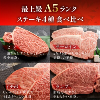 飛騨牛ステーキ食べ比べセット 4種類 ヒレ サーロイン イチボ ランプ【冷凍】【11-44n】
