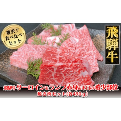 【冷凍】飛騨牛サーロイン・ランプ赤身・本日の希少部位焼肉セット 各490g【11-48】