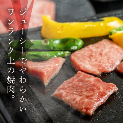 飛騨牛焼肉セット 各490g【11-48】