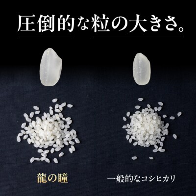 (受付終了)【2024年産】木箱入り 龍の瞳 キューブ米  (300g×6袋)【14-43】