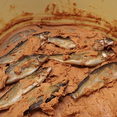 【下呂肴魚】子持ち鮎の粕味噌漬け(1匹×5袋 計5匹)【料理茶屋浜木綿】【81-4】