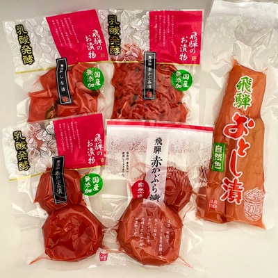 飛騨のお漬物 5種類セット 漬け物 飛騨 詰め合わせ【15-2】