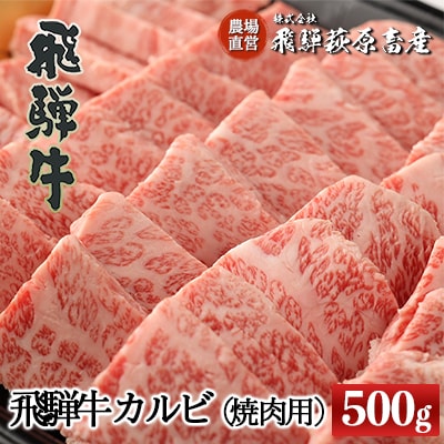  【年内発送】【冷凍】飛騨牛カルビ焼肉用(500g)牛肉 焼き肉 【22-24n】