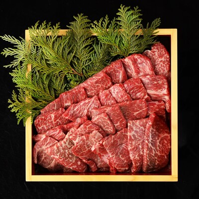  飛騨牛赤身焼肉セット 計600g(もも 300g・かた 300g)【22-27】