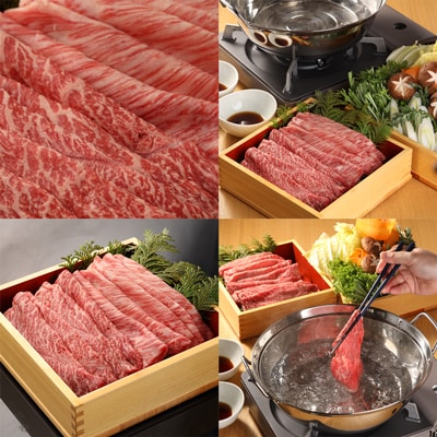  【年内発送】飛騨牛しゃぶしゃぶセット 計400g (もも・肩ロース各200g)【22-32n】