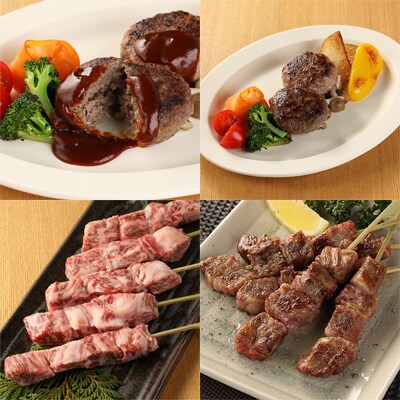  【冷凍】飛騨牛串焼き・飛騨牛ハンバーグセット【22-33】