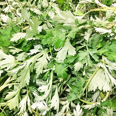 先行受付【期間限定】春の名物!あねかえし 20個入り 冷蔵配送【87-1】
