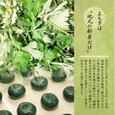 【冷凍配送】あねかえし 20個入り(5個入×4パック)和菓子 よもぎ ヨモギ【87-2】