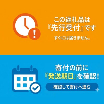 【期間限定】飛騨の初夏の味!あねかえし(5個×2パック)と朴葉寿司(10個)のセット【87-4】