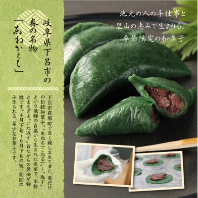 【期間限定】飛騨の初夏の味!あねかえし(5個×2パック)と朴葉寿司(10個)のセット【87-4】