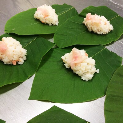 【期間限定】飛騨の初夏の味!あねかえし(5個×2パック)と朴葉寿司(10個)のセット【87-4】