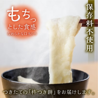 【年内発送】飛騨生切りもち 5種類セット(白餅・草餅・豆餅・きび餅・栃餅 各1枚入【87-7n】