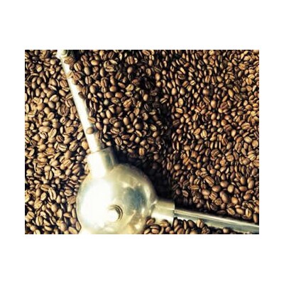 自家焙煎珈琲店「緑の館」/「ストロングブレンド」豆　500g×2(1kg)【17-74】