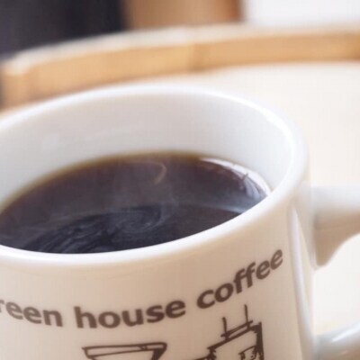 自家焙煎珈琲店「緑の館」/「ストロングブレンド」豆　500g×2(1kg)【17-74】