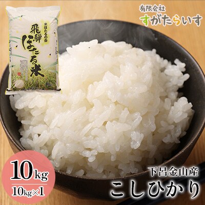 【令和7年産米】こしひかり 10kg すがたらいす 2025年産 コシヒカリ【51-6】