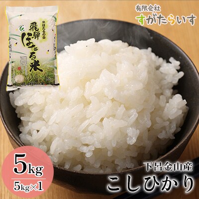 【令和7年産米】こしひかり 5kg すがたらいす 2025年産 コシヒカリ【51-5】