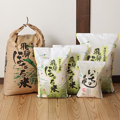 【令和7年産米】こしひかり 5kg すがたらいす 2025年産 コシヒカリ【51-5】