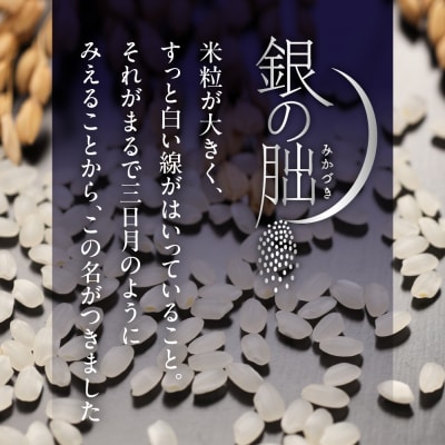 【2025年産米】3kg×1 皇室献上米「銀の朏」令和7年産【13-42】