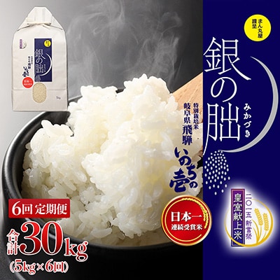 新米【定期便】【2025年産米】5kg×6回 皇室献上米「銀の朏」化学肥料不使用 【13-9】