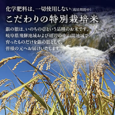 【定期便】【2025年産米】5kg×6回 皇室献上米「銀の朏」化学肥料不使用 【13-9】