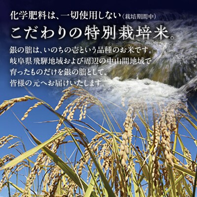 【定期便】【2025年産米】5kg×6回 皇室献上米「銀の朏」化学肥料不使用 【13-9】