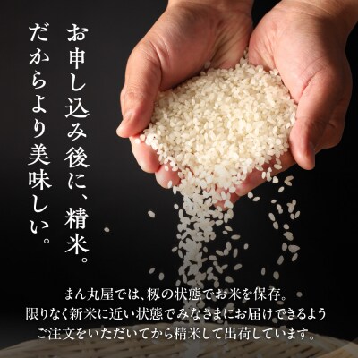 【定期便】【2025年産米】5kg×6回 皇室献上米「銀の朏」化学肥料不使用 【13-9】