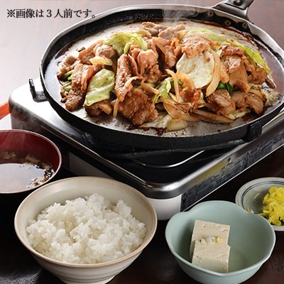 昔ながらの大衆食堂の味【大安のとんちゃん】10個セット 120g×10袋(計1200g)【90-3】
