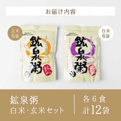 鉱泉粥 12食セット 鉱泉粥白米×6袋・鉱泉粥玄米×6袋(1袋260g入)【91-2】