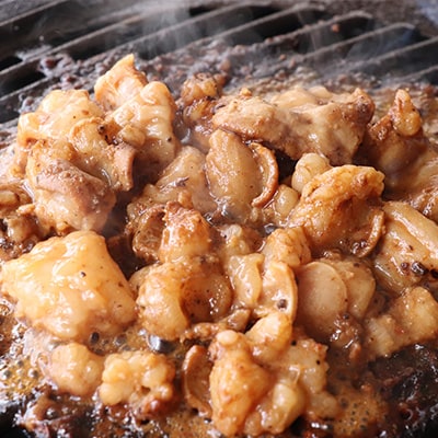 【2026年2月から順次発送】飛騨産和牛ホルモン 塩味 210g×4袋【冷凍】【11-73】