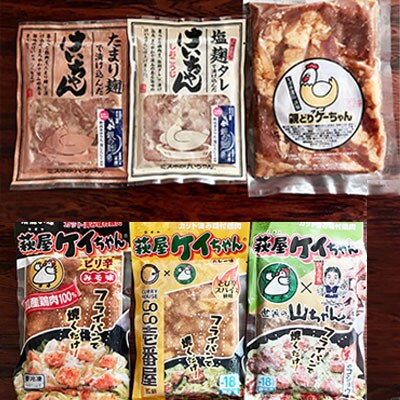やましげ特撰「下呂の鶏ちゃんセットD・こだわり味」10種類(計10袋)けいちゃん【83-12】