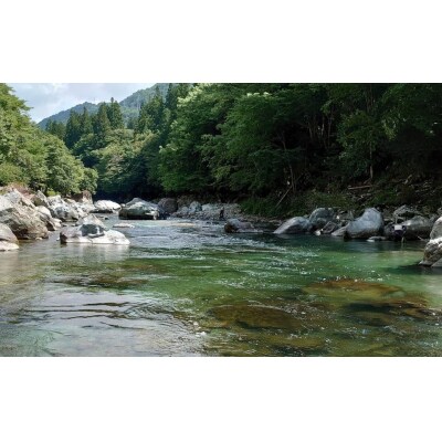 【令和7年】(減免対象者限定) 益田川雑魚年券 (3月1日(土)解禁)渓流釣り 釣り券【35-4】
