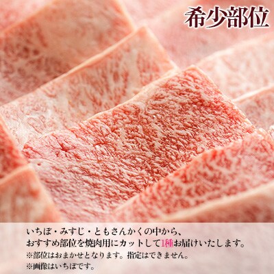 【2026年2月から順次発送】A5 飛騨牛 希少部位 おまかせ1種 430g【11-1015】