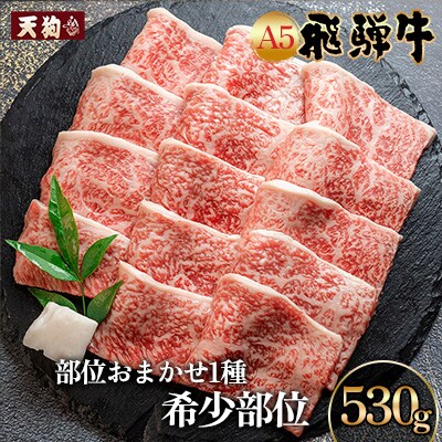 A5 飛騨牛希少部位 おまかせ1種 530g いちぼ みすじ ともさんかく(冷凍)【11-1019】