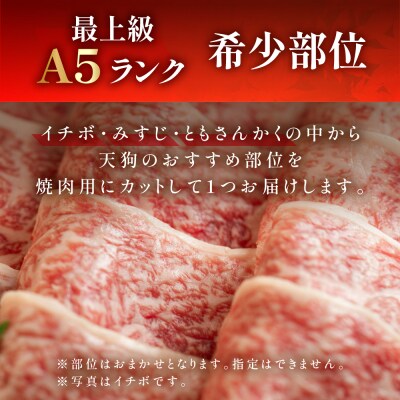 A5 飛騨牛希少部位 おまかせ1種 530g【11-1019】